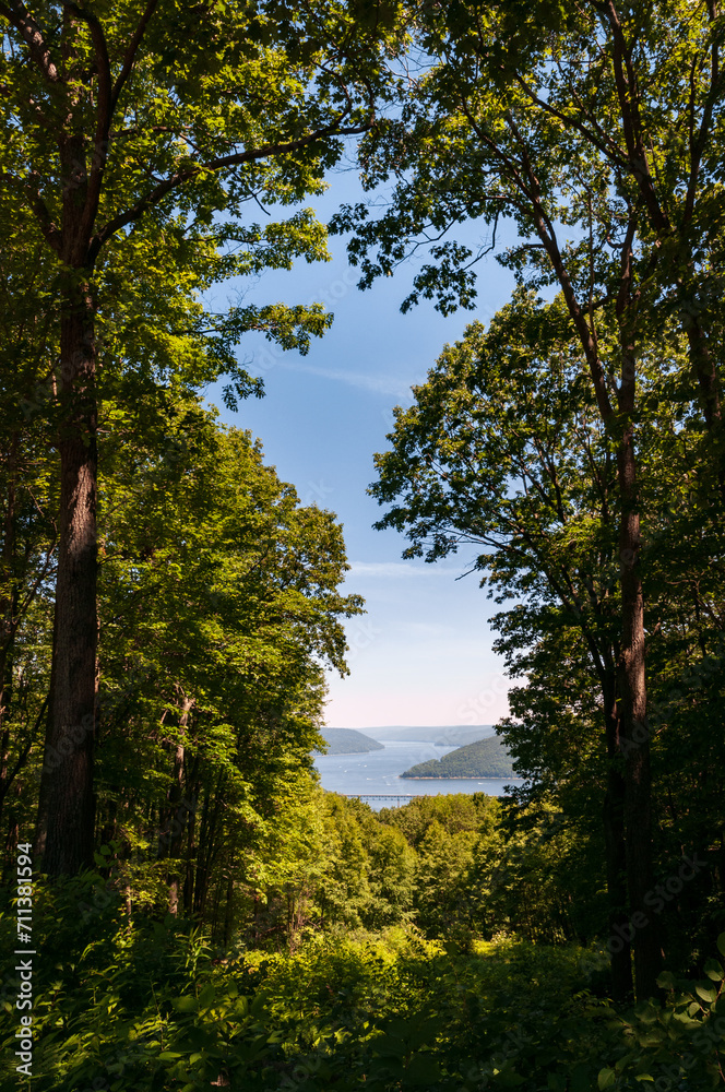 Allegheny National Forest Overlook of the Allegheny River in Pennsylvania