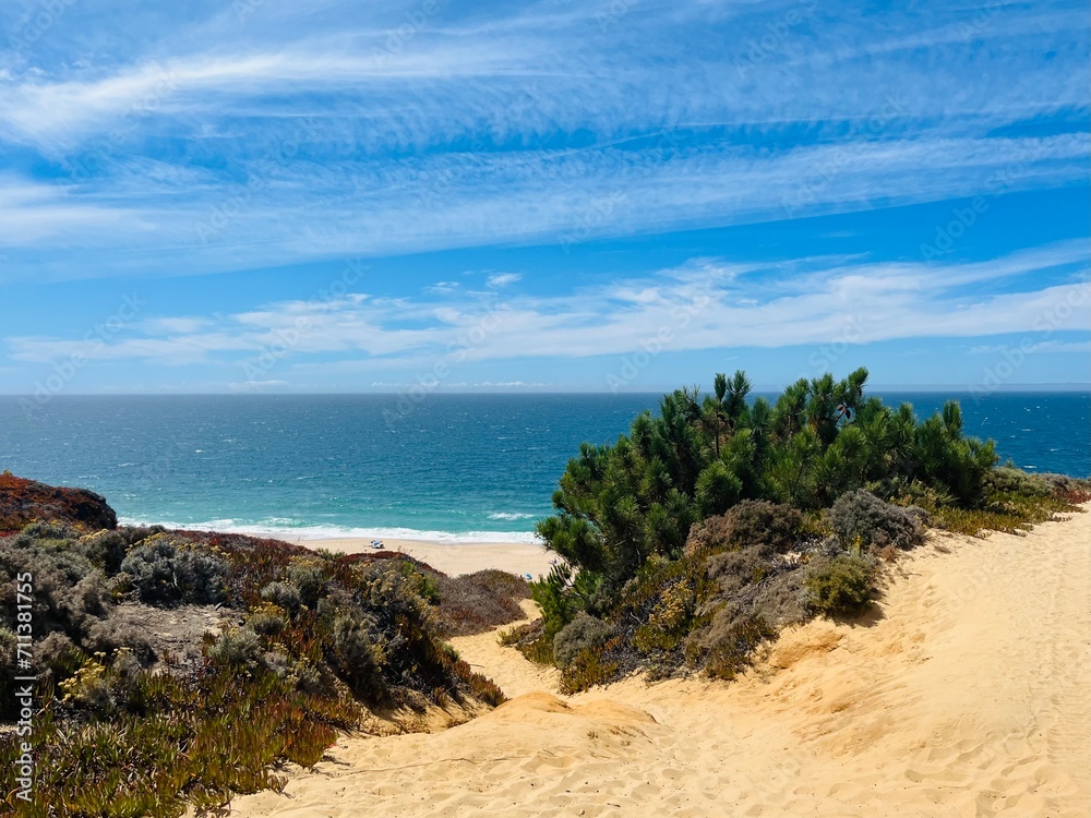 blue ocean horizon, sand beach, dune, ocean coast