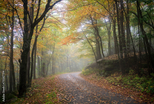 Beautiful Hazy Foggy Autumn Fall Road in Allegheny National Forest