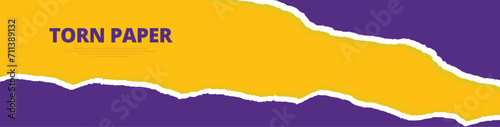 Torn paper ripped yellow or purple color edges, empty, blank, sheets web long banner design vector illustration
