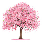 illustration of a Cherry blossom spring tree icon on a transparent background