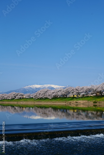 残雪の蔵王連峰と白石川一目千本桜。大河原、宮城、日本。4月上旬。