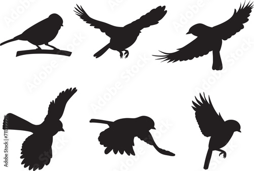 bird silhouette, tit set vector