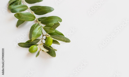 New crop olives and fresh leaves on white surface with copy space