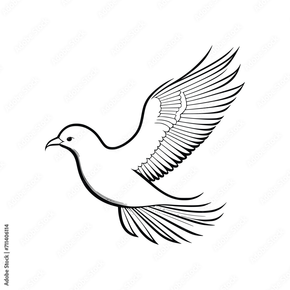 Fototapeta premium Dove wild animal vector EPS