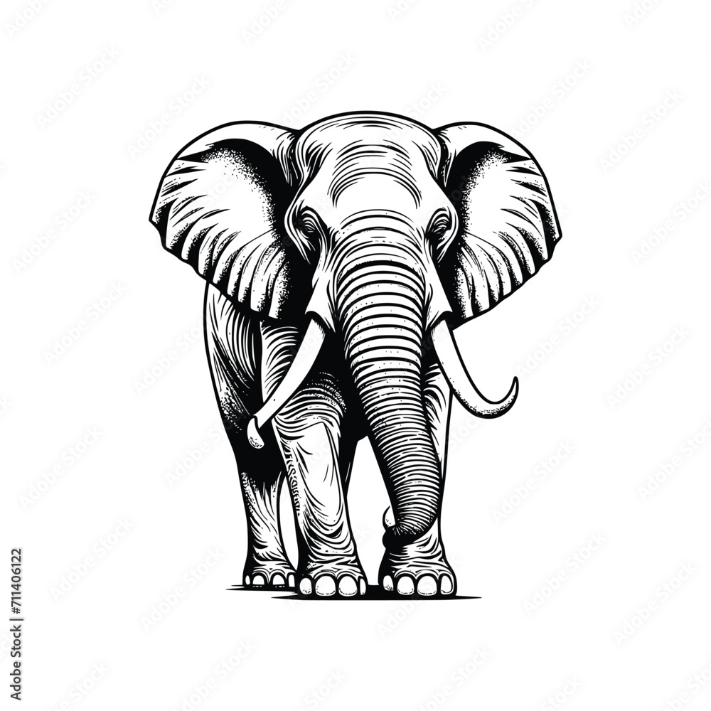 Elephant wild animal vector EPS