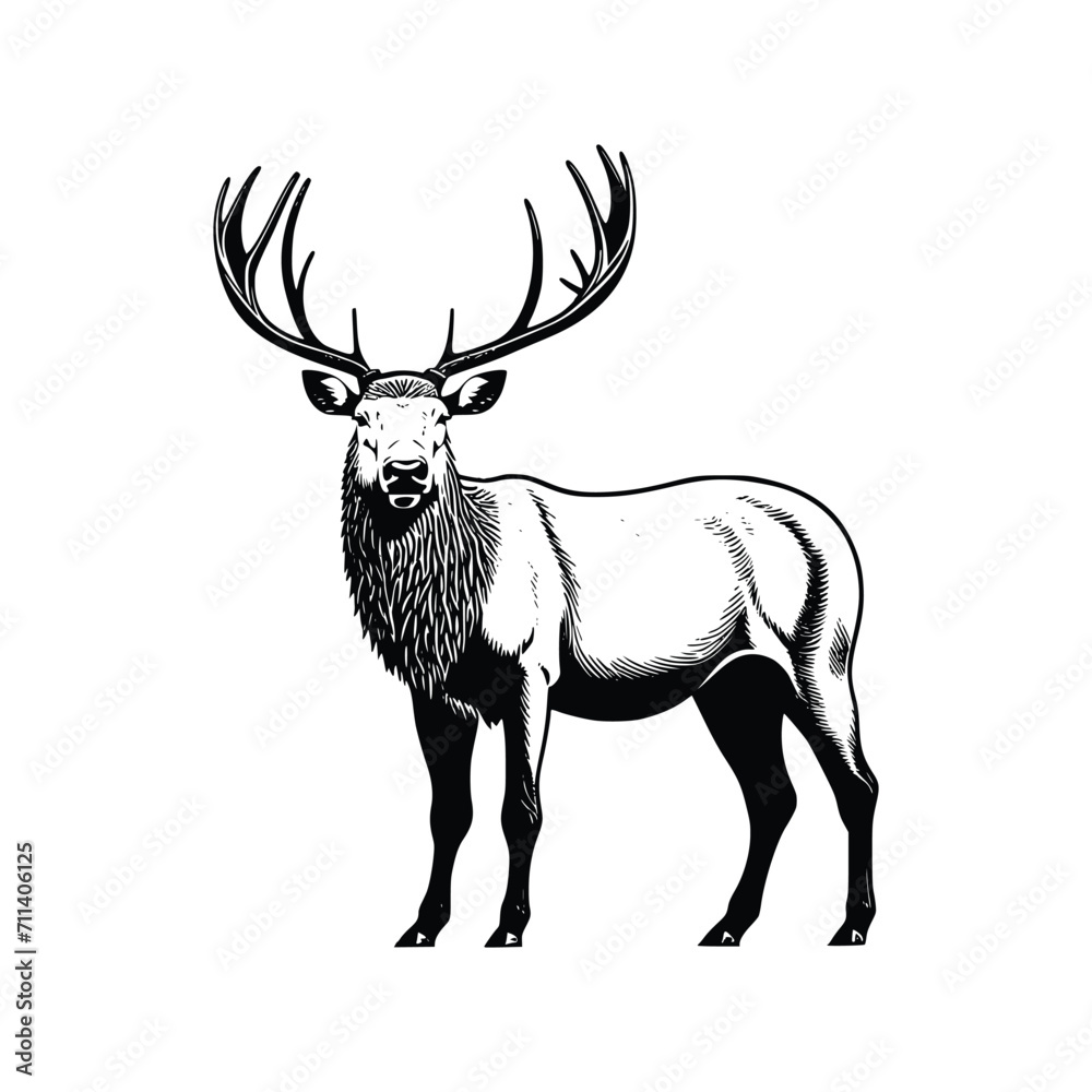 Elk wild animal vector EPS Elk wild animal vector EPS