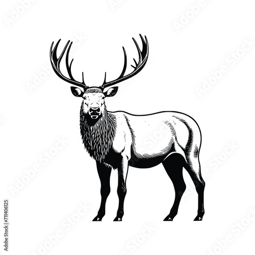 Elk wild animal vector EPS