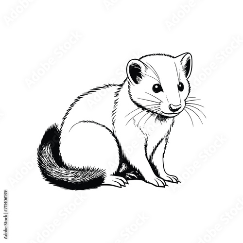 Ferret wild animal vector EPS