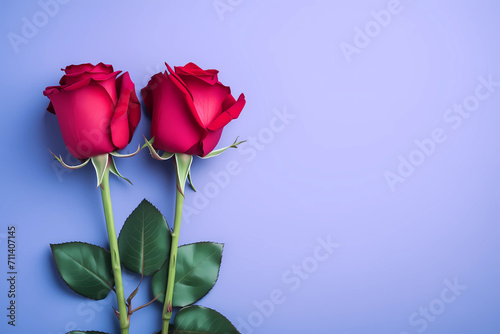 Flat lay of two red roses on a violet background. Valentine s day concept. Love 
