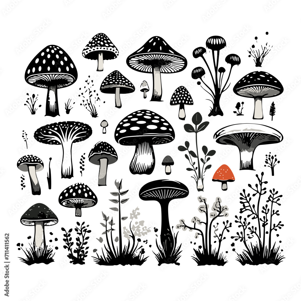 mushroom svg, mushroom png, mushroom illustration, mushroom vector, mushroom, mushroom clipart, jungle svg, forest, t shirt ,mushroom, fungus, nature, vector, food, illustration, autumn, isolated, for mushroom svg, mushroom png, mushroom illustration, mushroom vector, mushroom, mushroom clipart, jungle svg, forest, t shirt ,mushroom, fungus, nature, vector, food, illustration, autumn, isolated, for