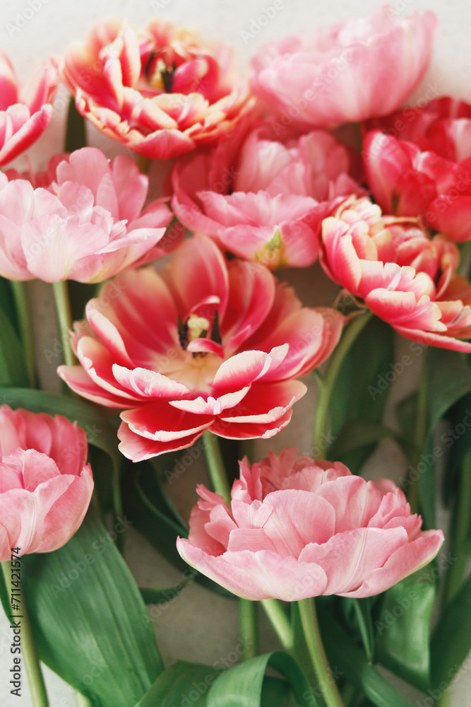 Beautiful tulips flat lay on grey stone background. Stylish floral bouquet. Happy Valentines day and happy mother's day. Tender pink and red flowers wallpaper Beautiful tulips flat lay on grey stone background. Stylish floral bouquet. Happy Valentines day and happy mother's day. Tender pink and red flowers wallpaper
