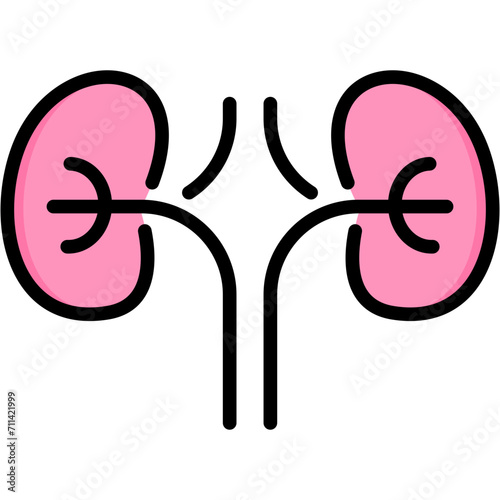Nephrology Icon