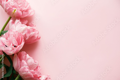 Modern tulips flat lay on pink background. Happy Valentines day and happy mothers day. Stylish beautiful floral border with space for text.  Tender pink flowers banner