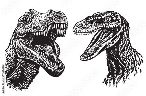 Graphical set of dinosaurs on white background, vector collection. Graphical elements for design and typography