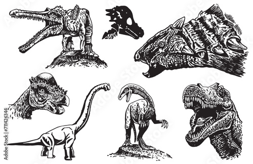 Graphical set of dinosaurs on white background  vector collection. Graphical elements for design and typography