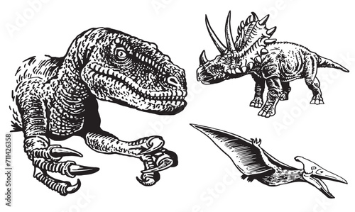 Graphical set of dinosaurs on white background, vector collection. Graphical elements for design and typography