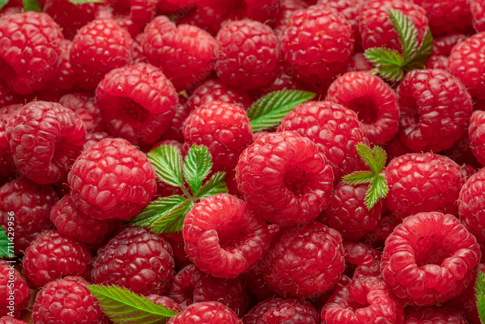 Fresh red ripe raspberries. Raspberries background.