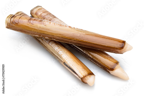 Edible raw razor clams isolated on white background. Delicacy food. photo