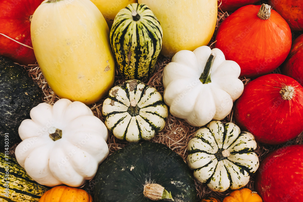 Différentes variétés de courges colorées sur un étal de marché de ...