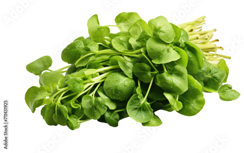 Exploring the Crisp Freshness of Watercress in Culinary Bliss on White or PNG Transparent Background