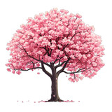 Beautiful cherry tree with pink flowers
