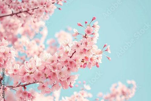 "Blooming Cherry Blossom Beauty", spring art