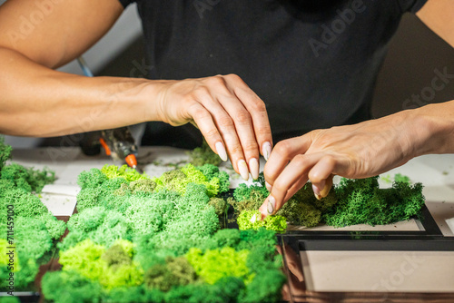 Close-up of woman hands gluing stabilized moss. Process of working with decorative reindeer moss. Concept of modern eco style interior.