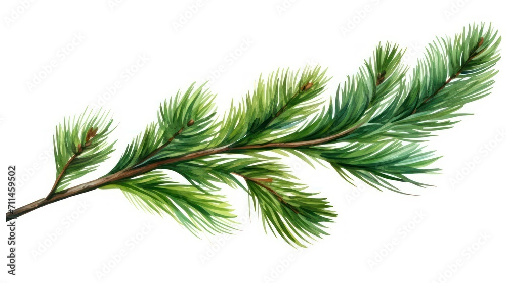 branch of rosemary branch of rosemary