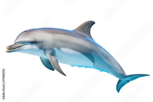 Dolphin isolated on a white background © Johannes