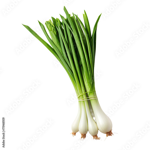 Green onion on White Background