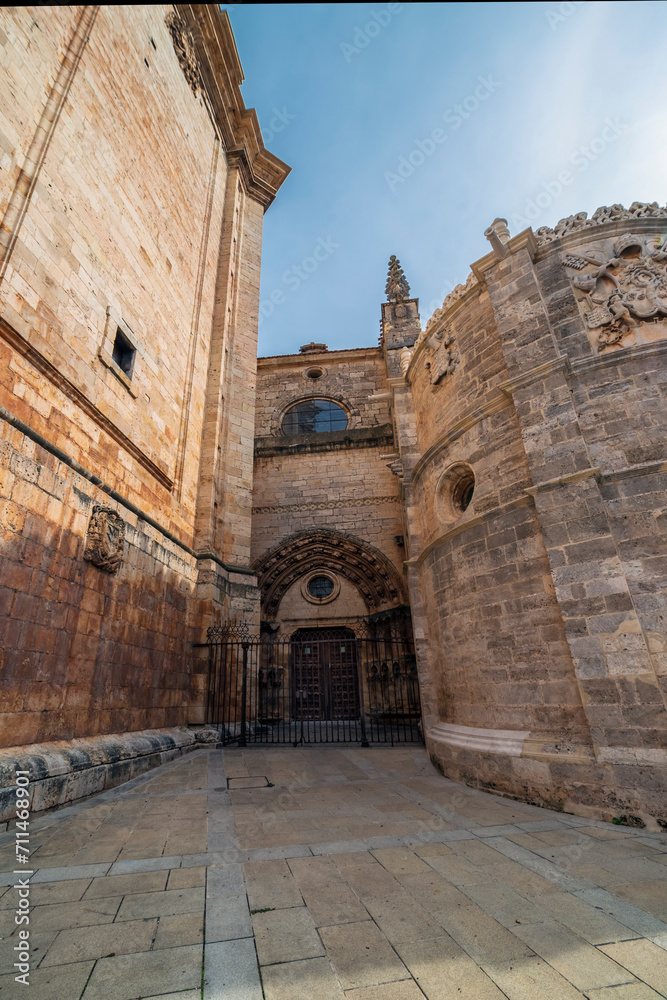 Side door of the Cathedral of La Asuncion in El Burgo de Osma. Soria. Spain. Europe.