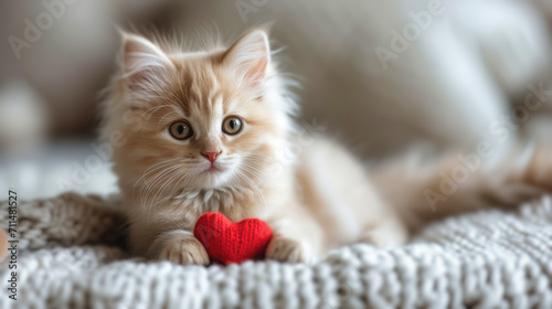 A fluffy Valentine's Day gift. Cute fluffy white kitten playing With Red Heart Valentine's card on white plaid. Valentine's card in the paws of a kitten. Valentines Day background. Generative Ai