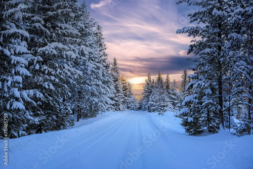 Snowy winter forest photo