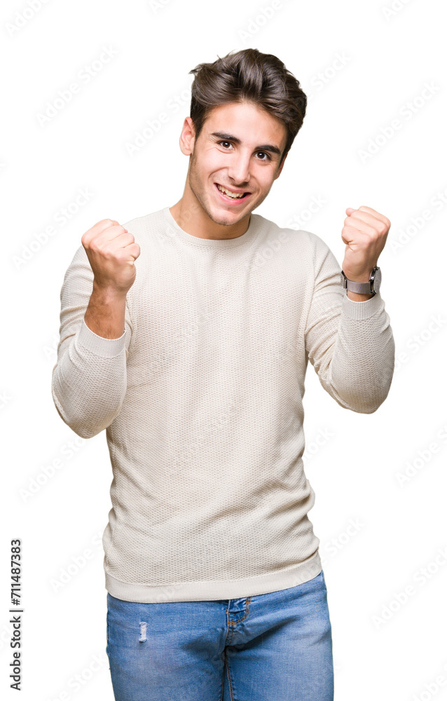 Young handsome man over isolated background celebrating surprised and amazed for success with arms raised and open eyes. Winner concept. Young handsome man over isolated background celebrating surprised and amazed for success with arms raised and open eyes. Winner concept.