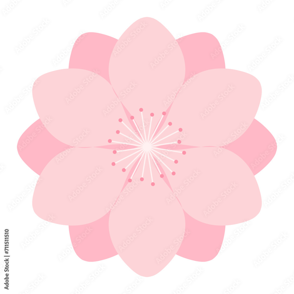 Fototapeta premium Sakura, cherry, plum, apricot, peach, apple blossom, flower, bloom, isolated. Floral design element, logo, icon. Flat style vector illustration. Spring promotion, seasonal sale, advertising