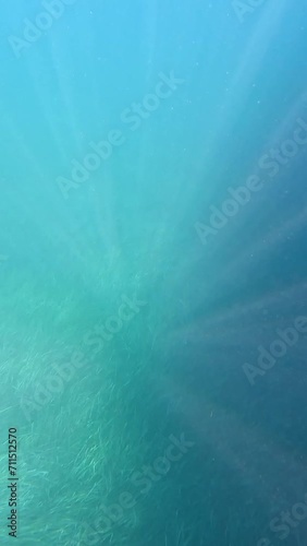 Water shot of sun rays in the transparent waters of Kroreza or Krorez beach on the Albanian riviera in Sarande, Albania. With aquatic action chamber photo