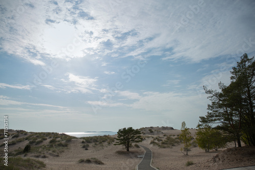 Beautiful view of sand dunes on the Gulf of Bothnia coast in Finland photo