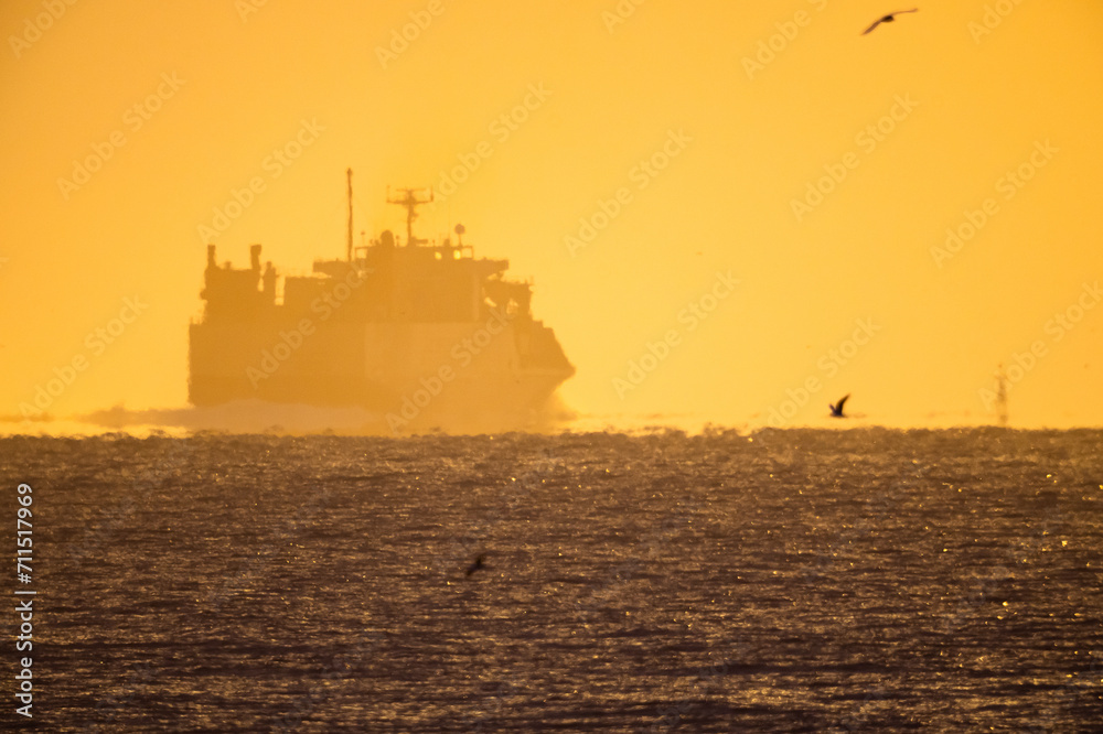 朝の水平線の向こうへ進む船影と鳥たちと20201122