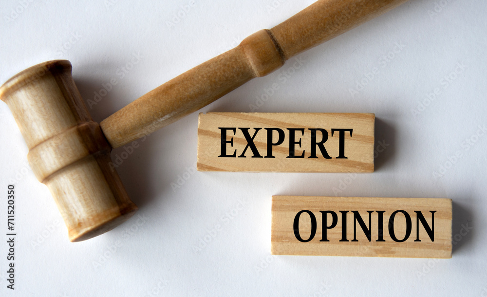 EXPERT OPINION - words on wooden blocks on a white background with a judge's gavel.