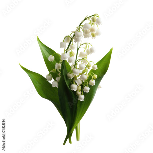  lilies of the valley isolated on transparent background.