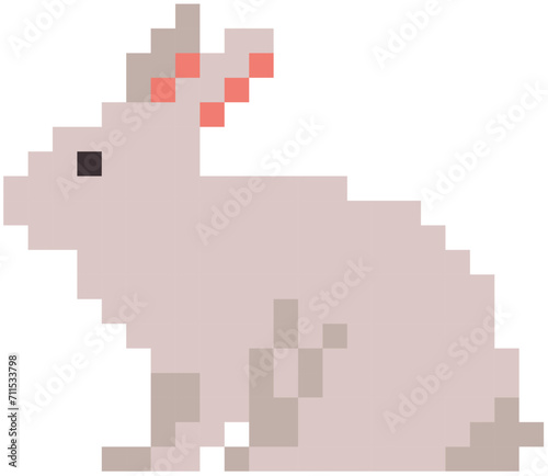 rabbit vector in pixels