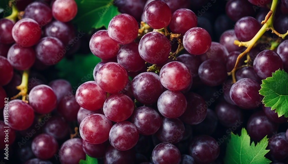 Fresh Red Grapes Cluster with Vibrant Green Leaves Fresh Red Grapes Cluster with Vibrant Green Leaves