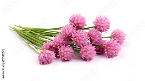 Chives or Allium schoenoprasum isolated on white.