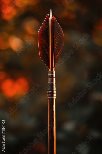 A close-up view of an arrow on a stick. This image can be used to represent direction, guidance, or decision-making