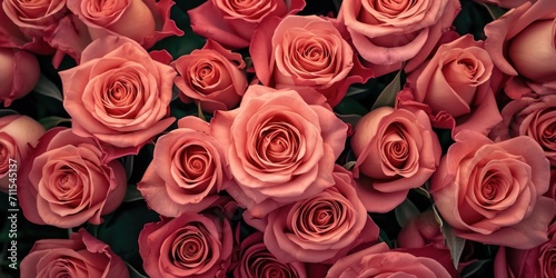 Close-up of a bunch of pink roses. Perfect for floral arrangements and romantic occasions