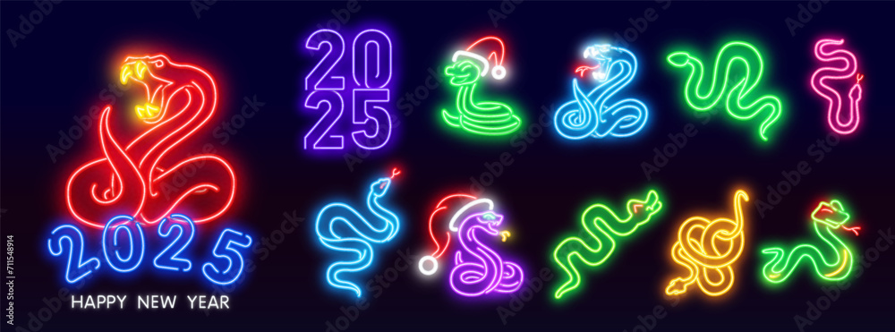 Chinese zodiac sign, snake symbol of Eastern Asian horoscope, isolated icon vector.