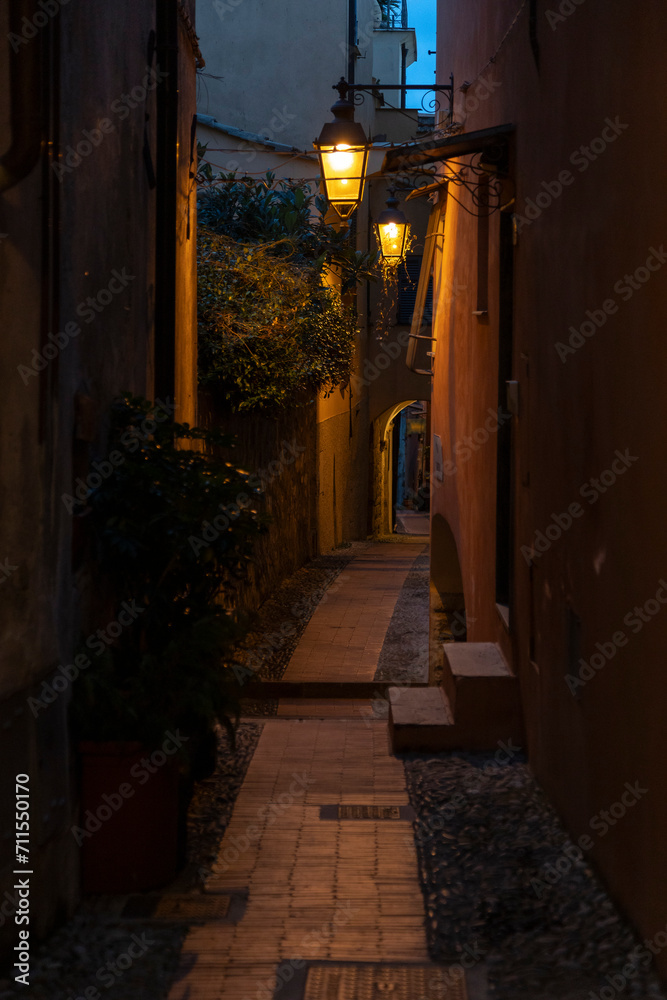 Alley of a old hamlet.
Characteristic little alley of a medieval hamlet, in the evening, with streetlamps on. Liguria, Italy.