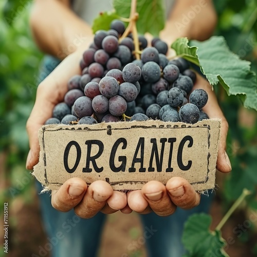 inscription organic. A handful of fruits in the hands of a girl 