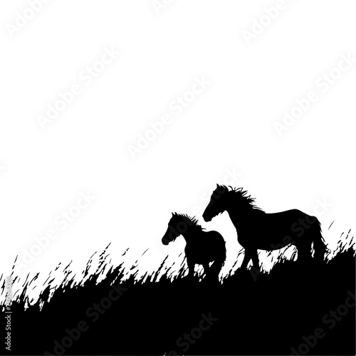 Silhouette vector of two horses standing on a grassy hill against a white background, portraying a sense of freedom and wilderness. © earthstudiotomo